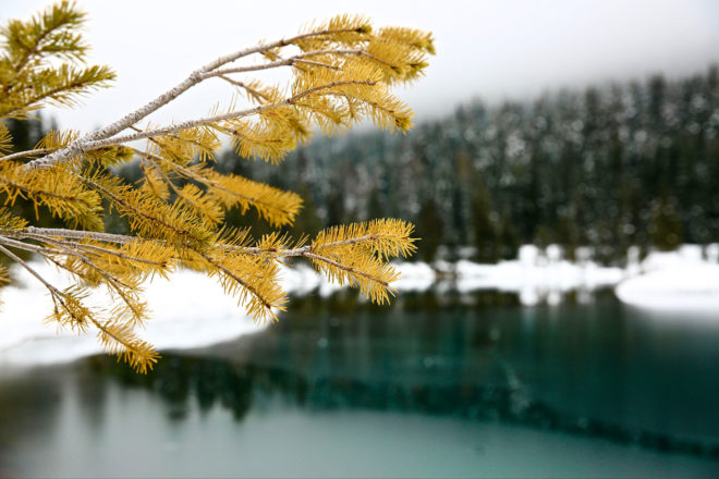 Snowy scene at an alpine lake in the PNW